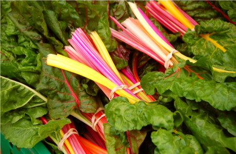 Swiss Chard